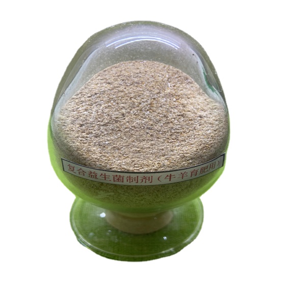 গুয়ানাইডিন এসিটিক এসিড প্রিবিওটিক্স প্রোবিওটিক্স পাউডার মিশ্রণ কার্যকর জীবিত প্রোবিওটিক্স ২ বিলিয়ন মৃগীরোগের জন্য 0