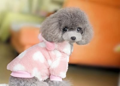 মাল্টিভিটামিন সম্পূরক মাল্টিফাংশনাল ট্যাবলেট বিড়াল এবং কুকুরের জন্য প্রাকৃতিক ইমিউন সমর্থন এবং অ্যালার্জি ত্রাণ 2