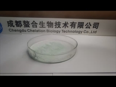 চেলাইটেড সিউ